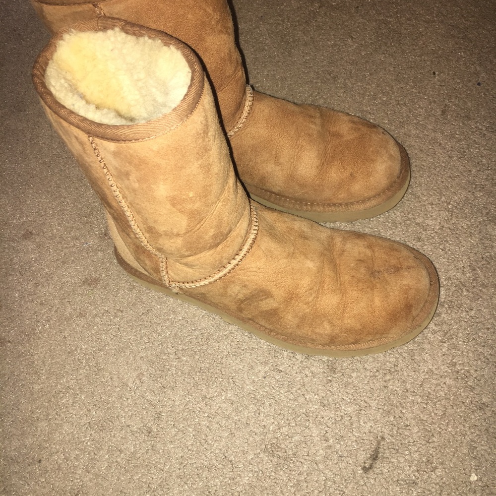 Chestnut short uggs lightly worn